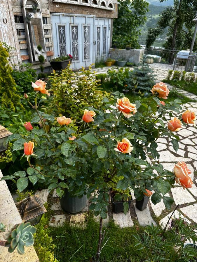 Готель Дехцени Діліжан Екстер'єр фото
